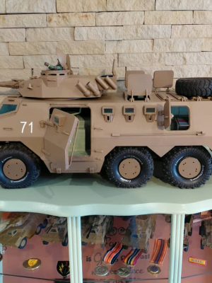 Win a remote controlled Ratel